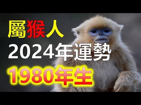 1980屬猴十年運勢|1980年生猴：性格解密